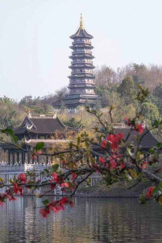 一眼心动重庆城！重庆全民赏花季拉开序幕，十里春色描绘山城之美