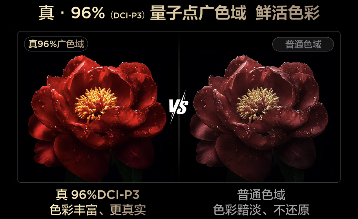 CL T6L Pro：摆脱屏幕反光困扰，阳光下也能畅享清晰画面(图6)